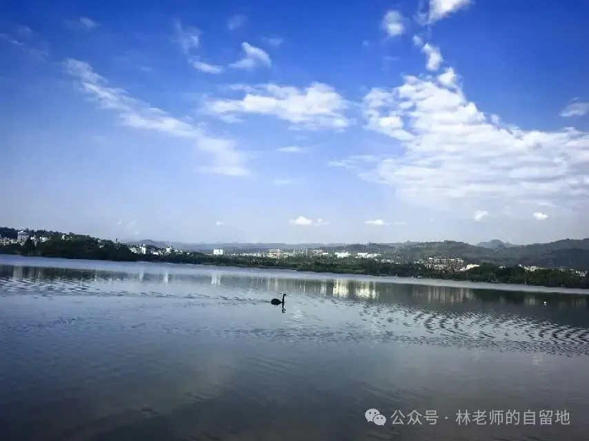 《一湖晨光漫行，感受一份松弛的人间烟火》原文配图