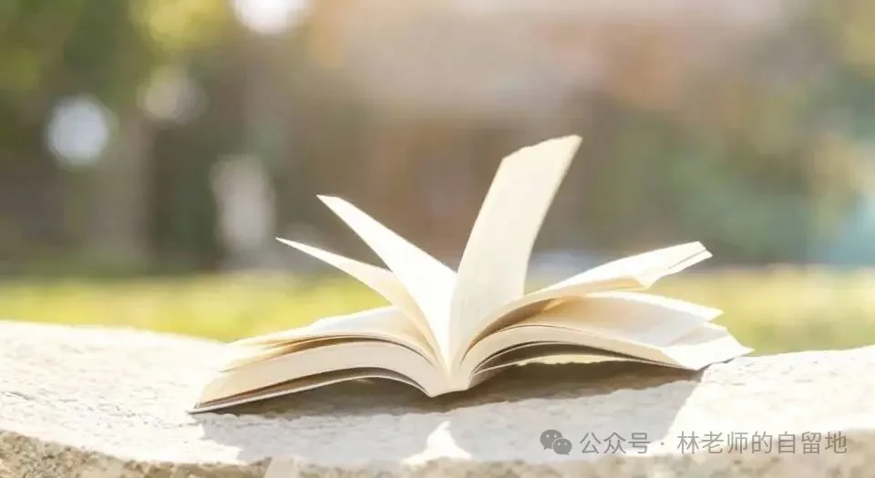 《百篇回望》原文中的翻开书页配图