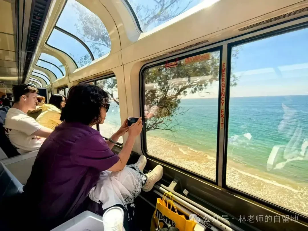 美国旅行途中，林老师坐在观光火车窗边看海
